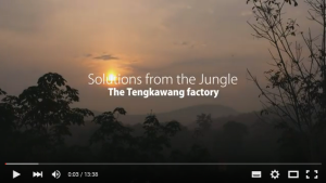 Tengkawang jungle factory video